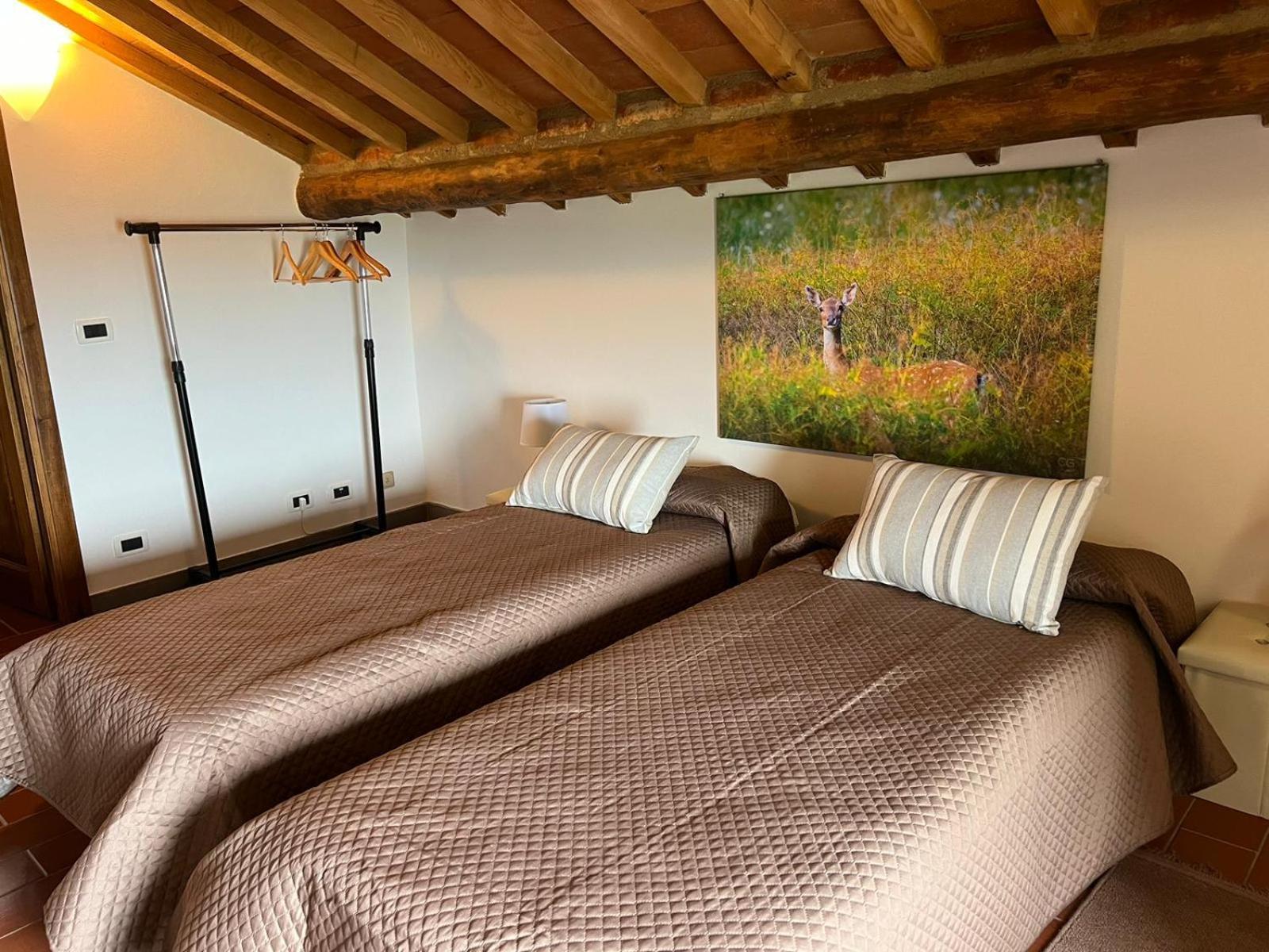 Casa Podere San Firenze San Firenze - Fonte Di Sala エクステリア 写真